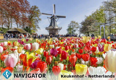 Travel with Navigator - Keukenhof, the Netherlands